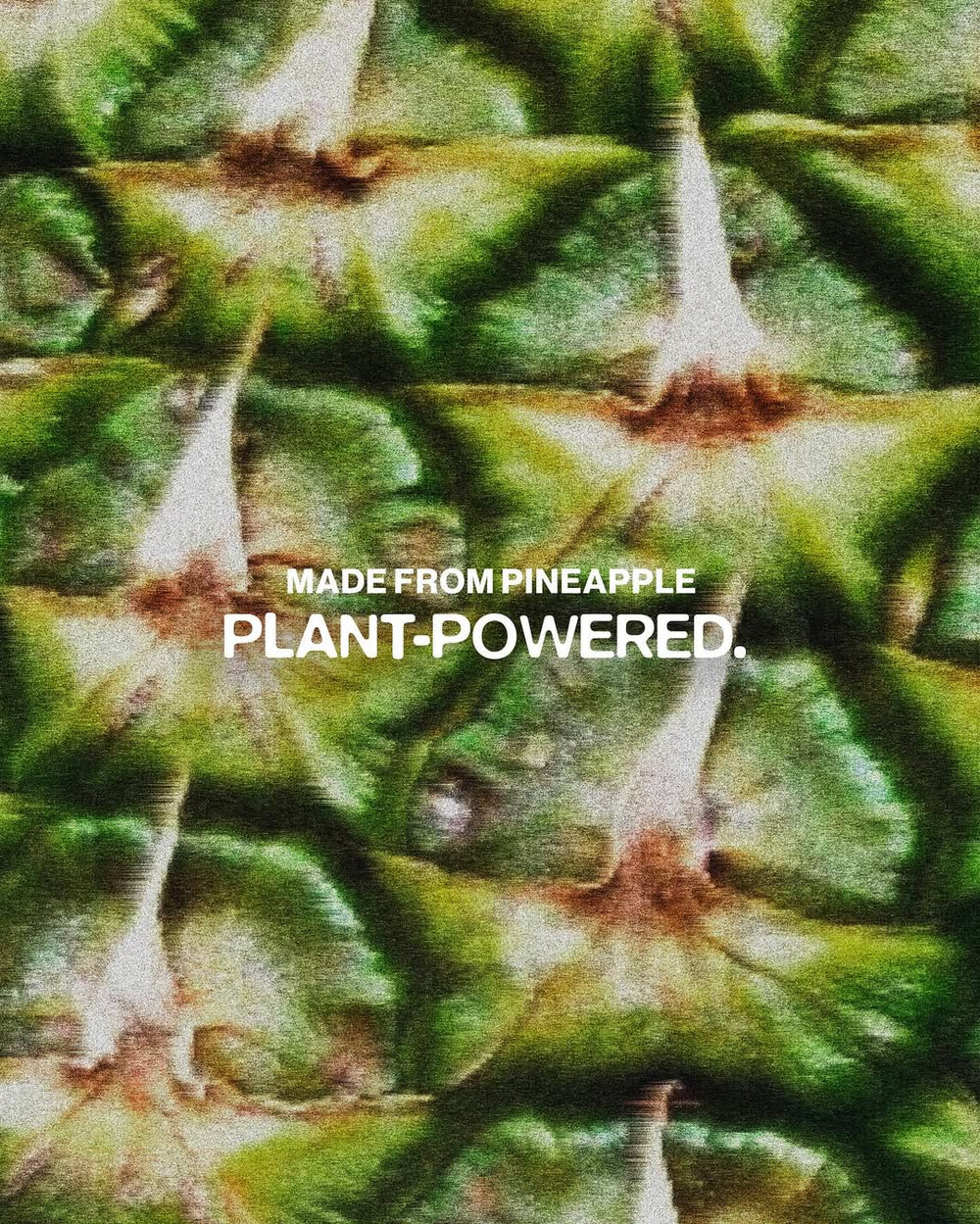 PINEAPPLESKIN - Between a fiber and a bioleather, pineappleskin is made from the leaves of the tree.