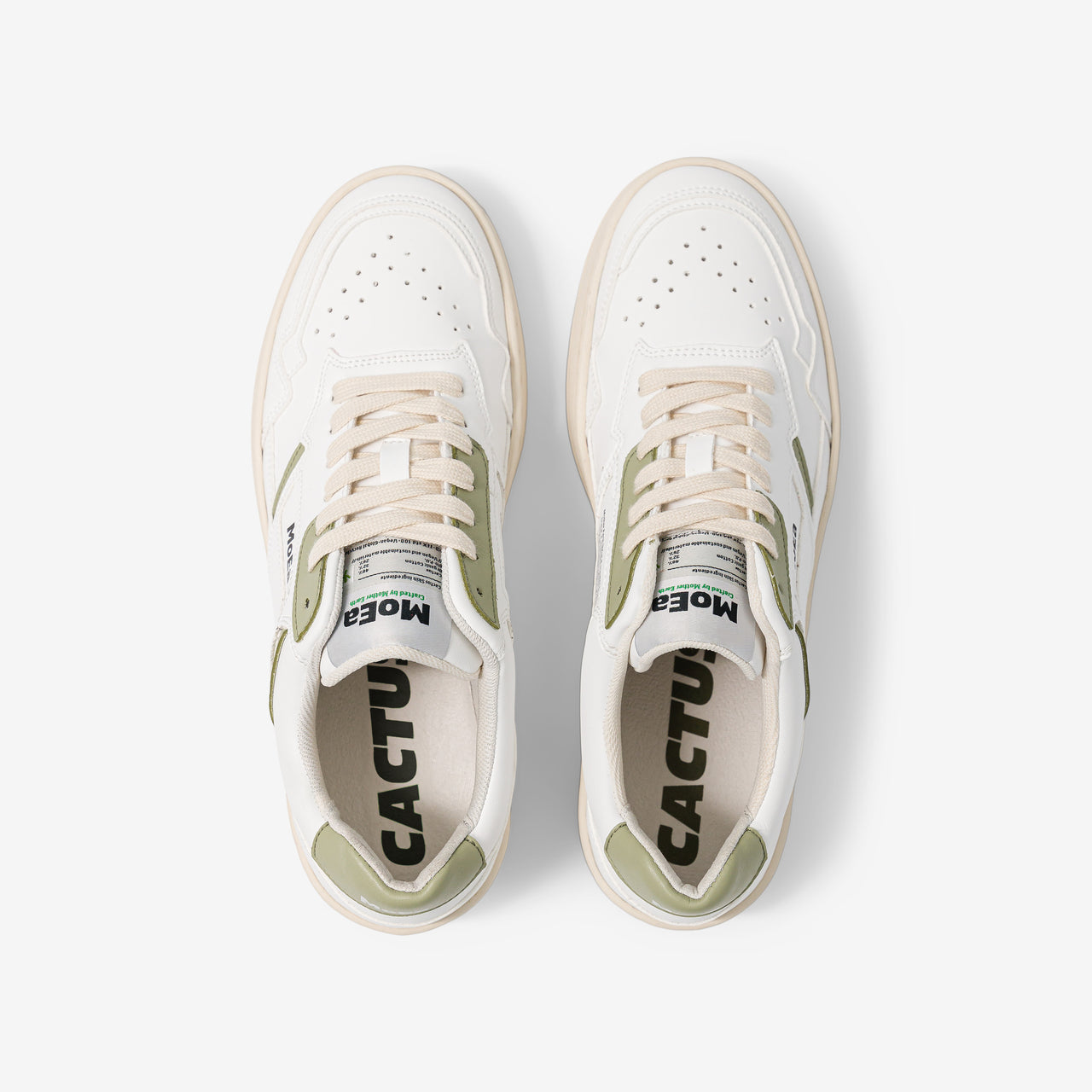 GEN1 - WHITE & ALOE GREEN [GN1-68]